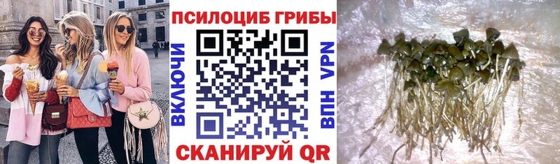 Псилоцибиновые грибы GOLDEN TEACHER ОМГ ОМГ ONION Собинка