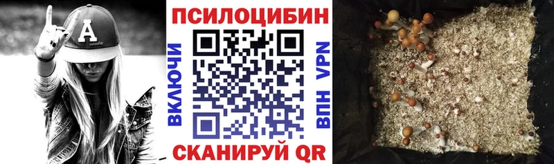 Галлюциногенные грибы Magic Shrooms Собинка